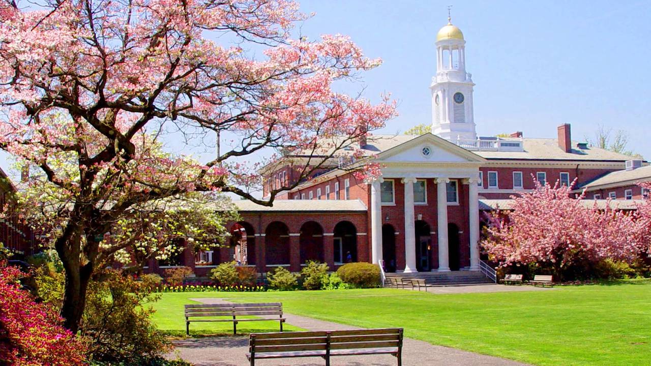 1007burkerehabilitationhospitalnewyorktbistrokescirehab • The